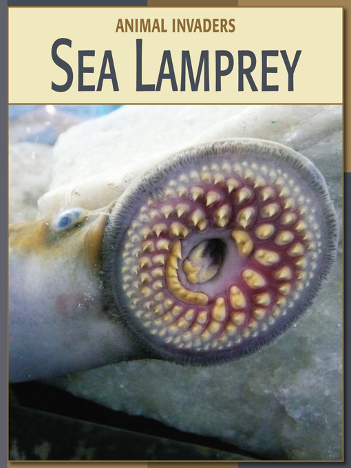 Title details for Sea Lamprey by Barbara A. Somervill - Available